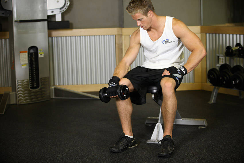 Seated One-Arm Dumbbell Palms-Down Wrist Curl reference position 1