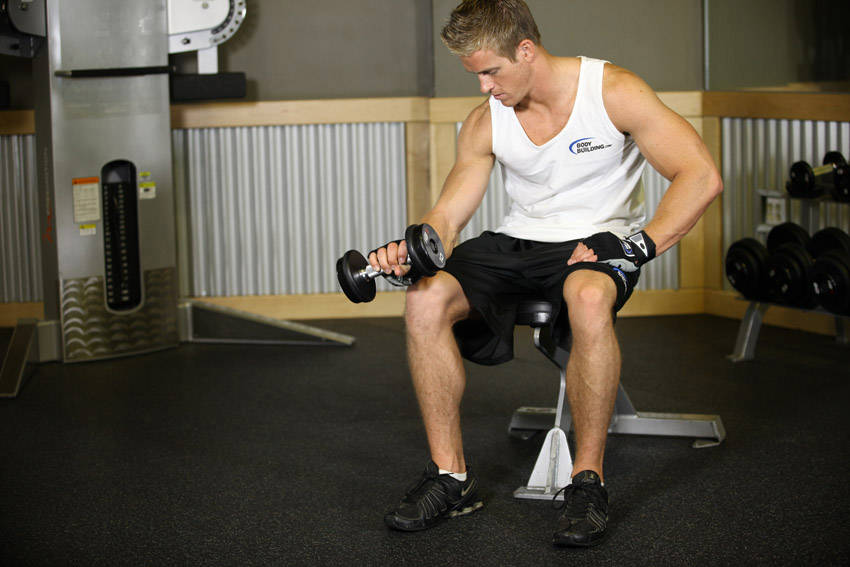 Seated One-Arm Dumbbell Palms-Down Wrist Curl reference position 2