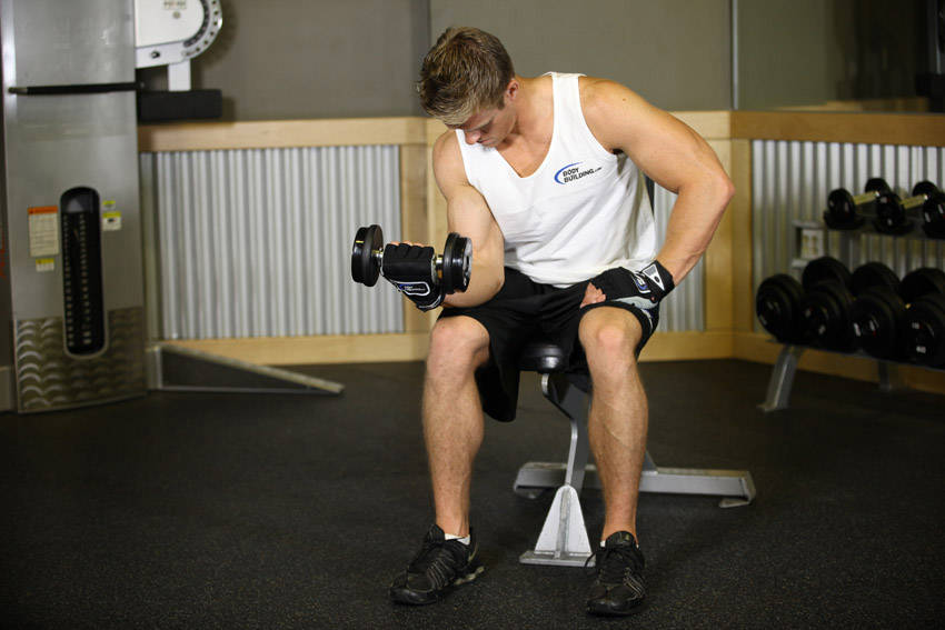 Seated One-Arm Dumbbell Palms-Up Wrist Curl reference position 2