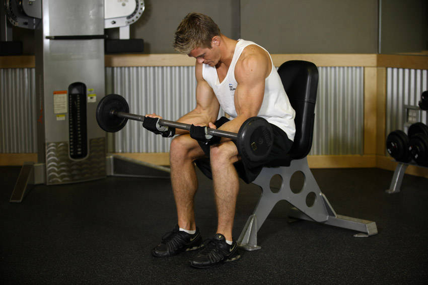 Seated Palm-Up Barbell Wrist Curl reference position 2
