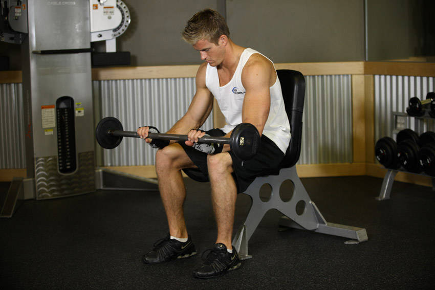 Seated Palms-Down Barbell Wrist Curl reference position 2