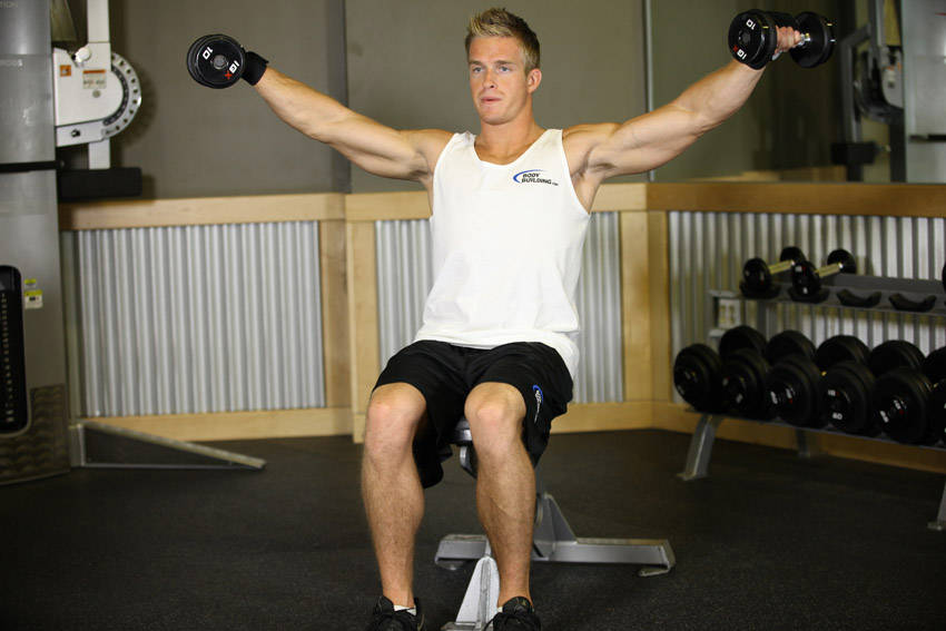 Seated Side Lateral Raise reference position 2
