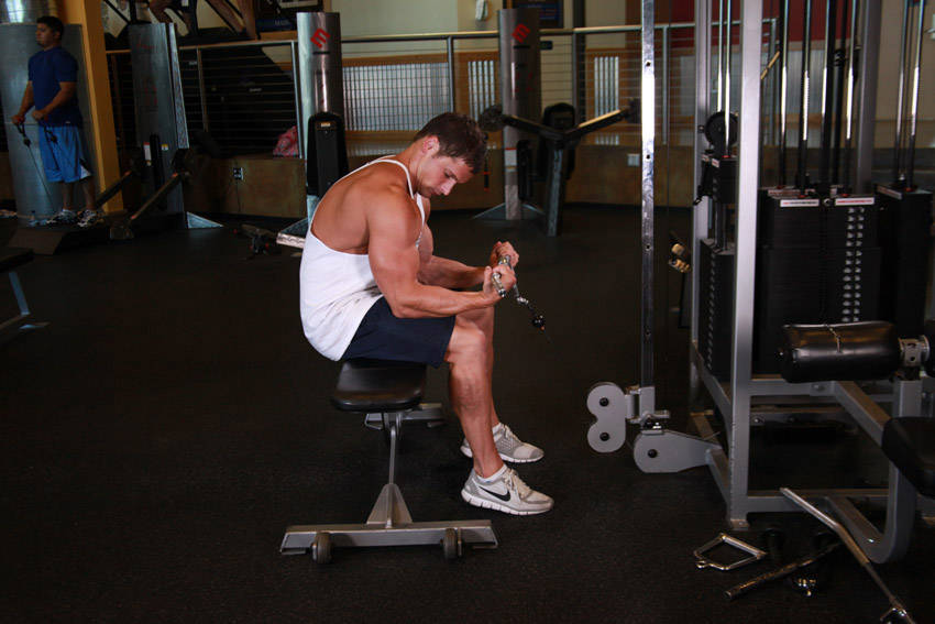 Seated Two-Arm Palms-Up Low-Pulley Wrist Curl reference position 2