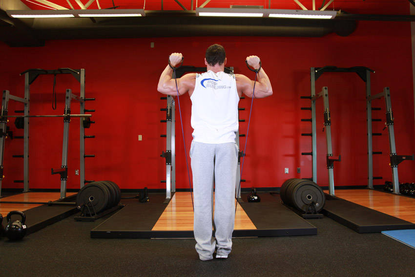 Shoulder Press - With Bands reference position 1