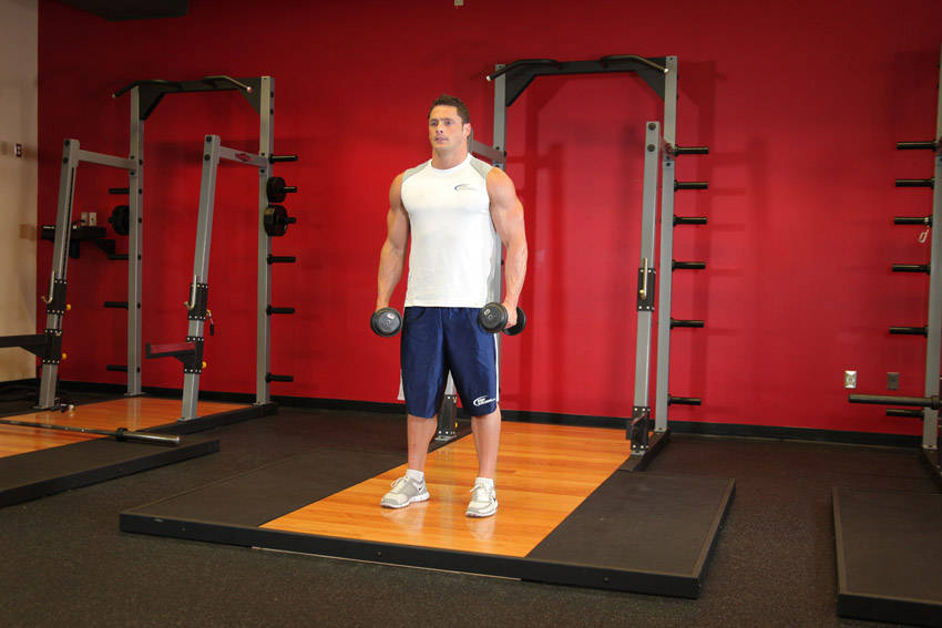Side Lateral Raise reference position 1