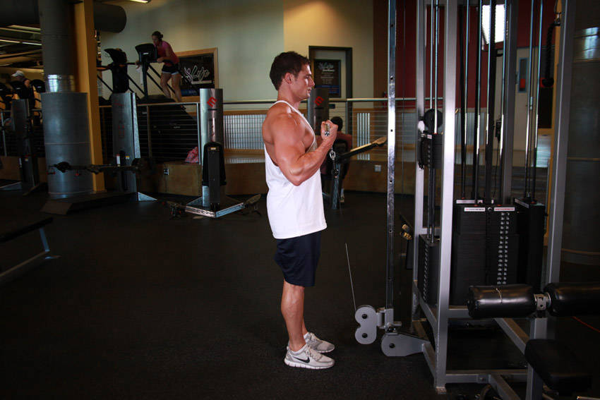 Standing Biceps Cable Curl reference position 2