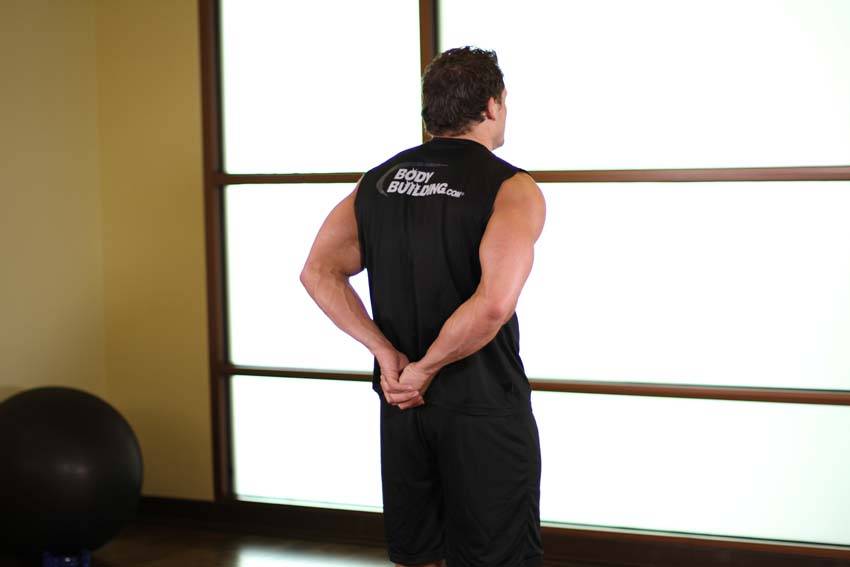 Standing Biceps Stretch reference position 1