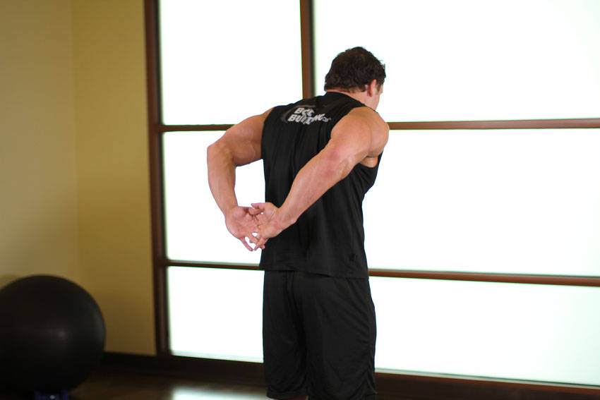 Standing Biceps Stretch reference position 2