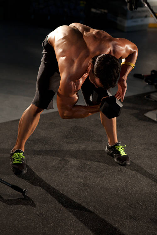 Standing Concentration Curl reference position 2