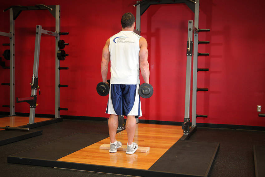 Standing Dumbbell Calf Raise reference position 1