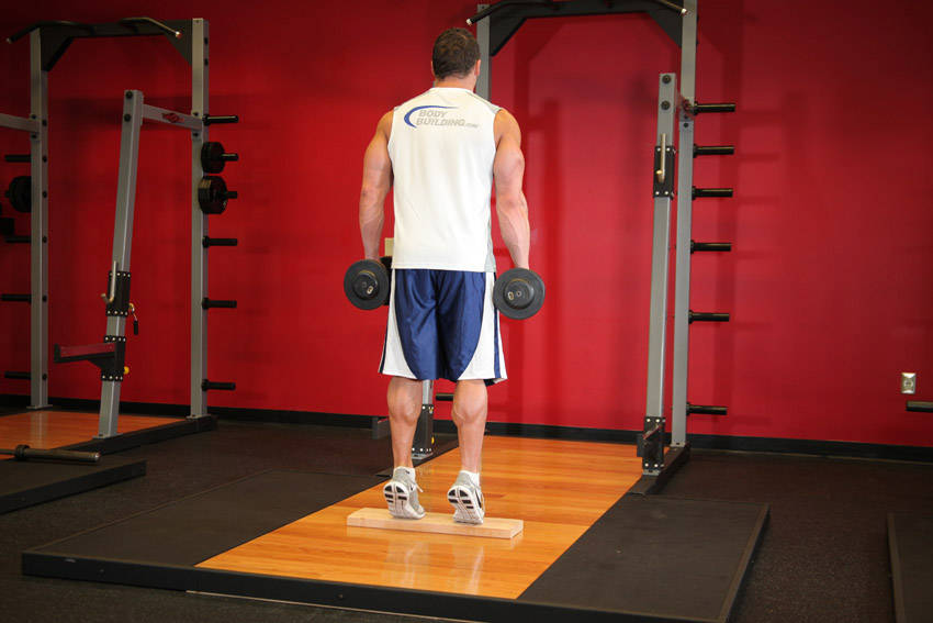 Standing Dumbbell Calf Raise reference position 2