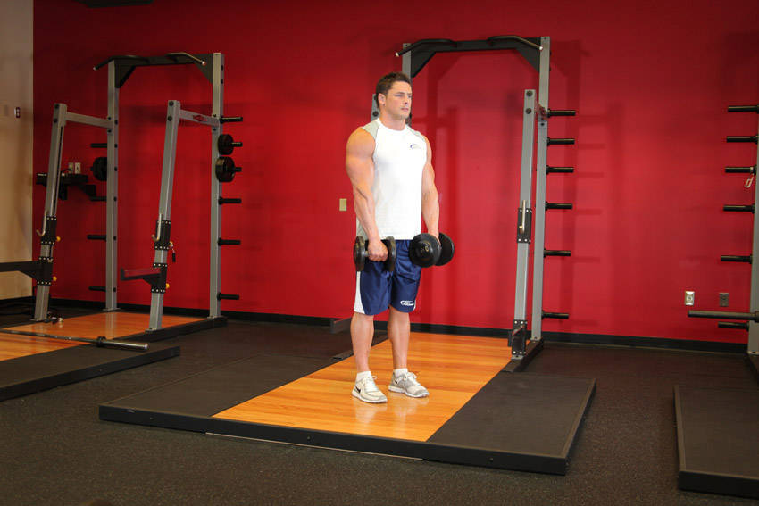 Standing Dumbbell Reverse Curl reference position 1