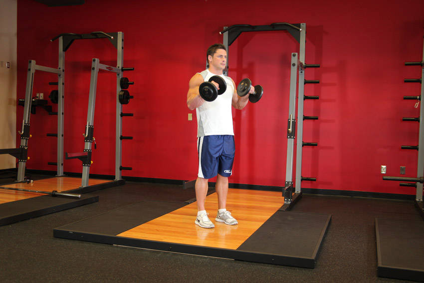 Standing Dumbbell Reverse Curl reference position 2