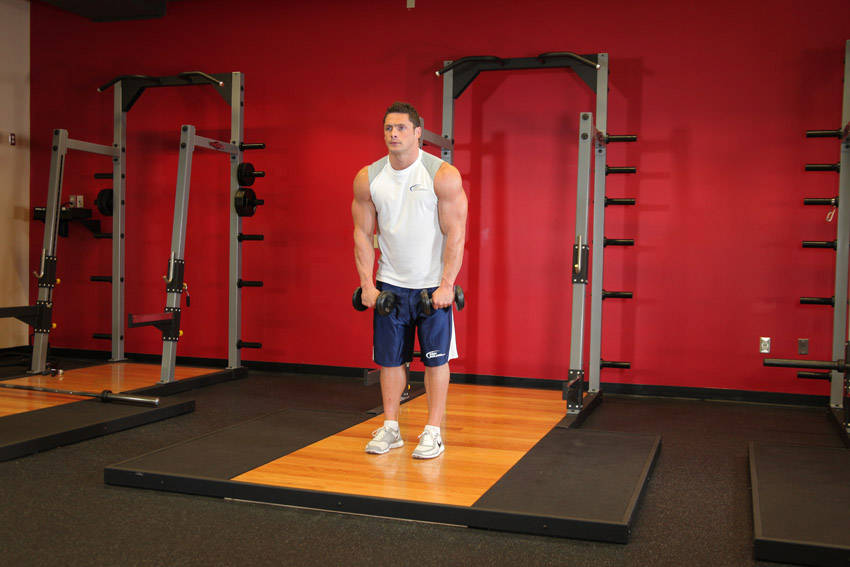 Standing Dumbbell Straight-Arm Front Delt Raise Above Head reference position 1