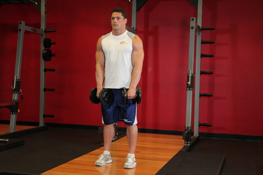 Standing Dumbbell Upright Row reference position 2