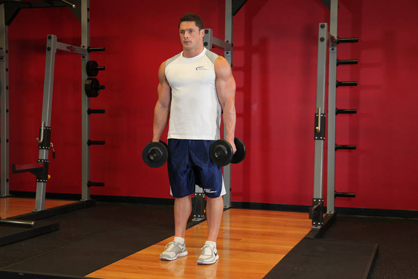 Standing Inner-Biceps Curl reference position 1