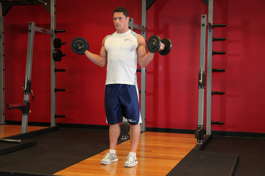 Standing Inner-Biceps Curl reference position 2