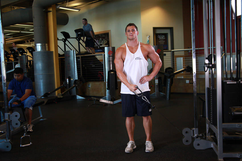 Standing Low-Pulley Deltoid Raise reference position 2