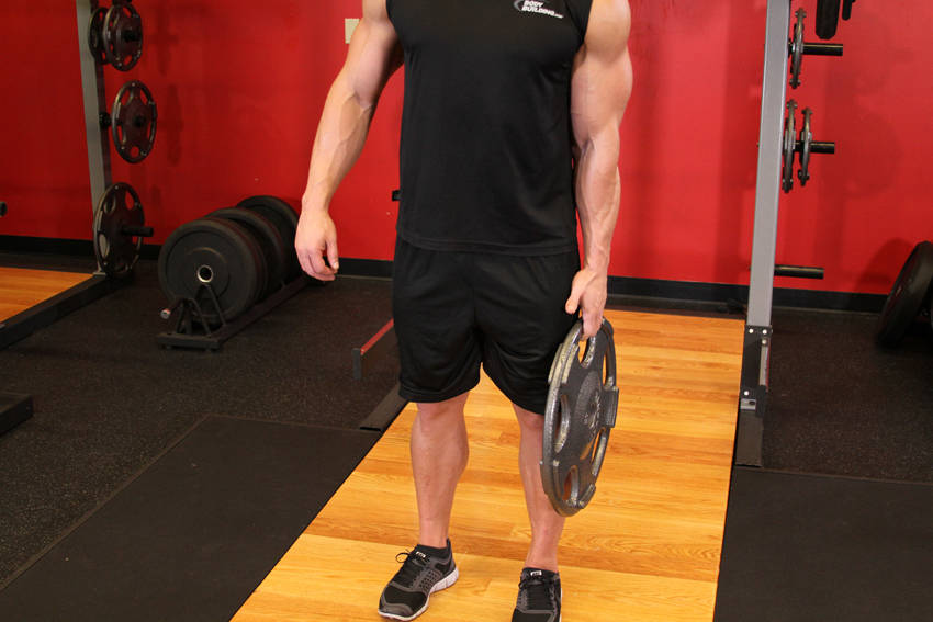Standing Olympic Plate Hand Squeeze reference position 1