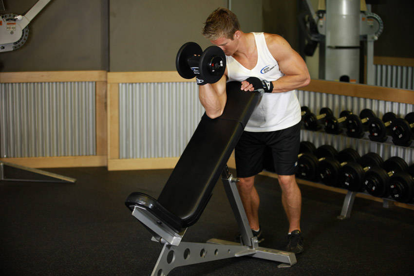 Standing One-Arm Dumbbell Curl Over Incline Bench reference position 2