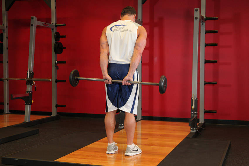 Standing Palms-Up Barbell Behind The Back Wrist Curl reference position 2