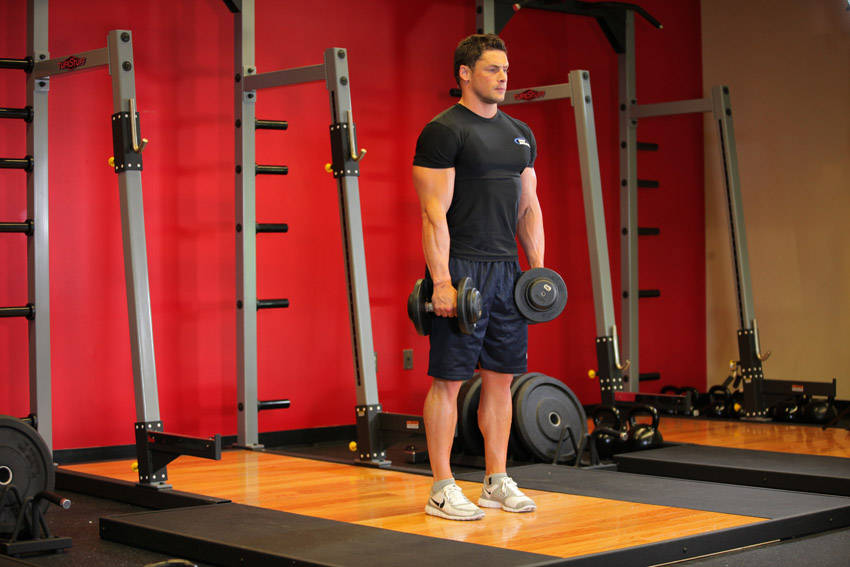 Stiff-Legged Dumbbell Deadlift reference position 1