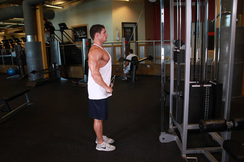 Straight-Arm Pulldown reference position 2
