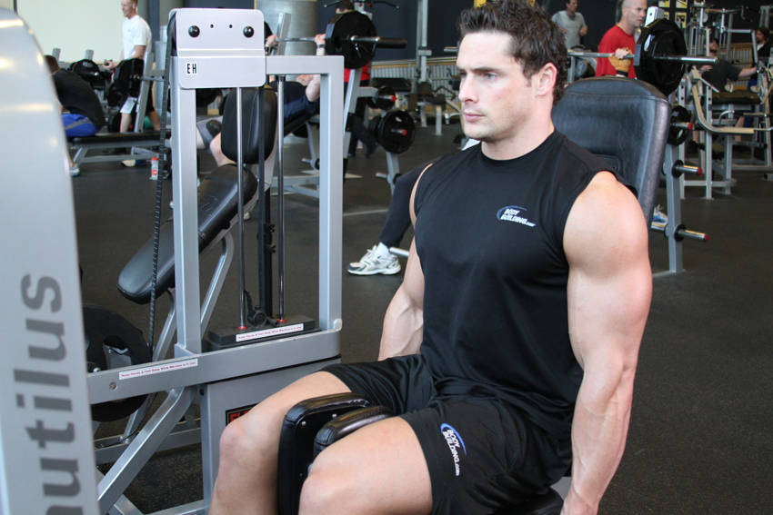Thigh Adductor reference position 2