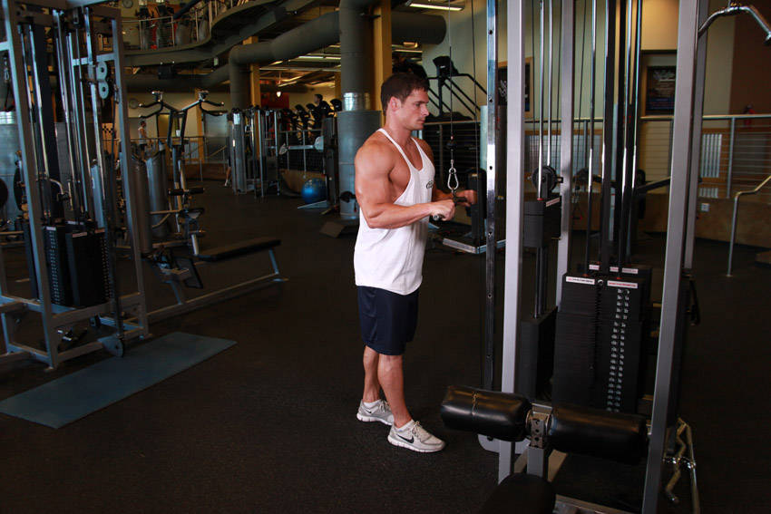 Triceps Pushdown reference position 1