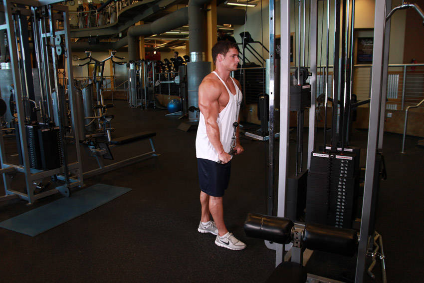 Triceps Pushdown reference position 2