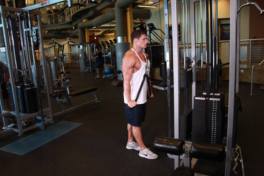 Triceps Pushdown - Rope Attachment reference position 2