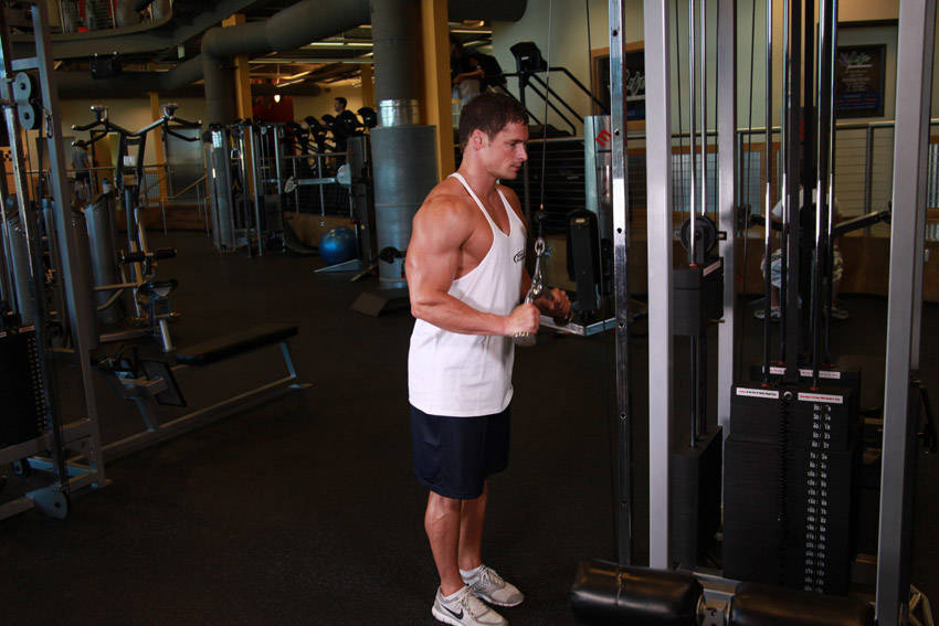 Triceps Pushdown - V-Bar Attachment reference position 1