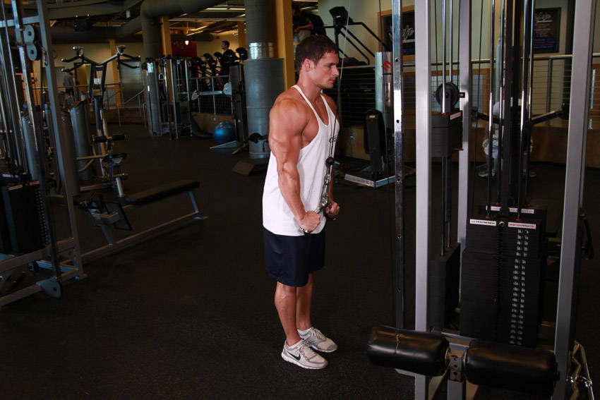 Triceps Pushdown - V-Bar Attachment reference position 2