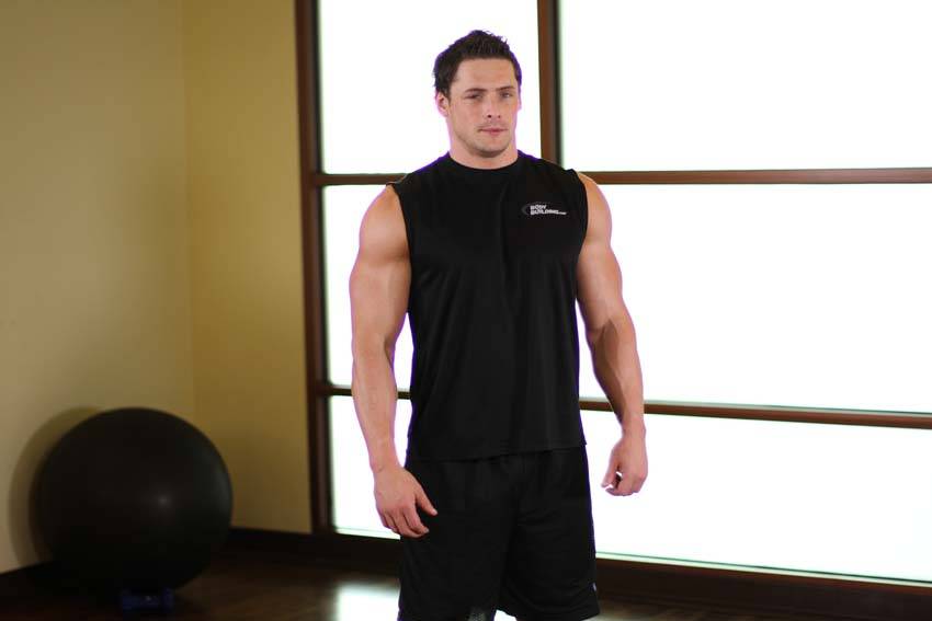 Triceps Stretch reference position 1