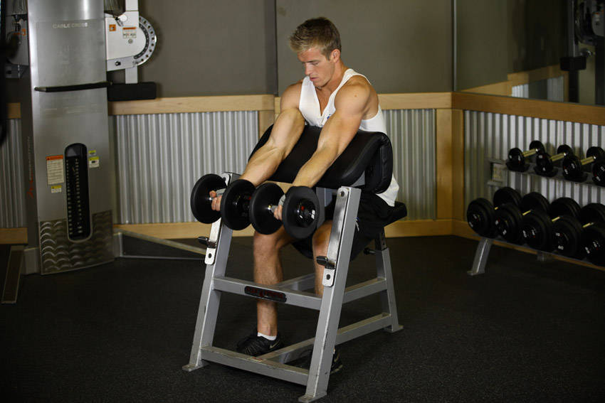 Two-Arm Dumbbell Preacher Curl reference position 1