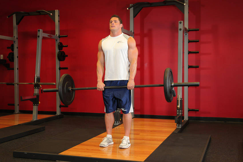 Upright Barbell Row reference position 2