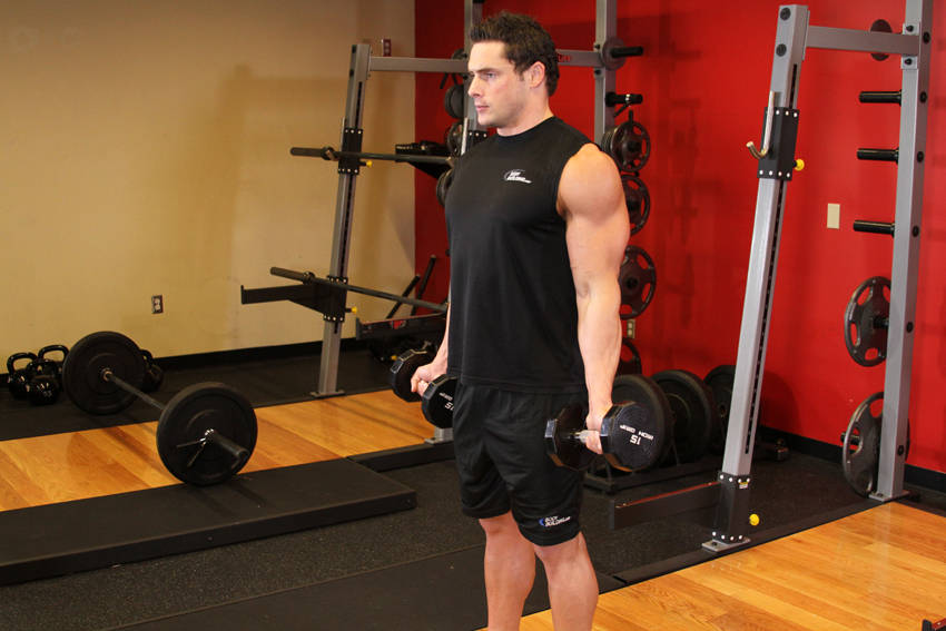 Zottman Curl reference position 1