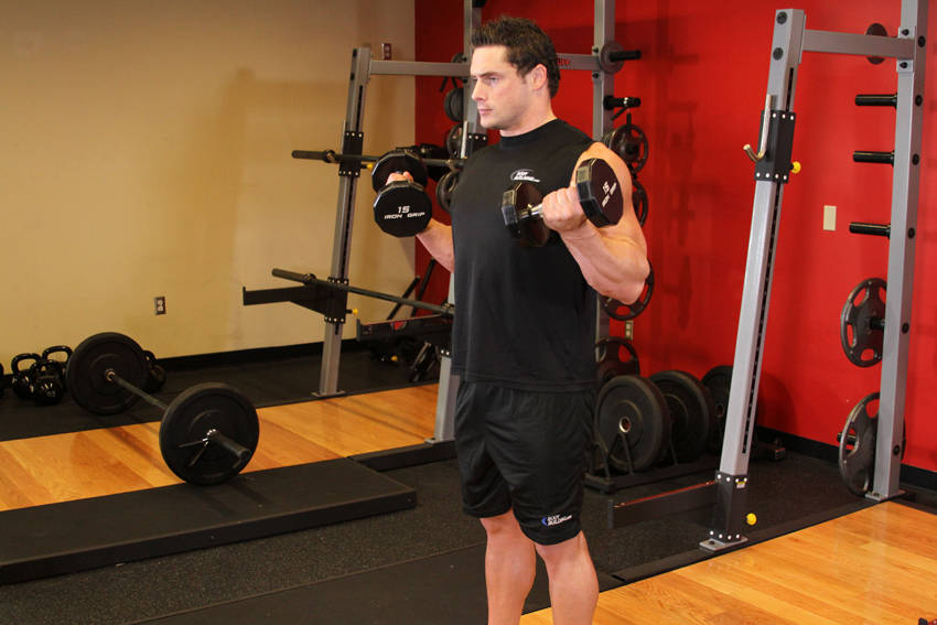 Zottman Curl reference position 2