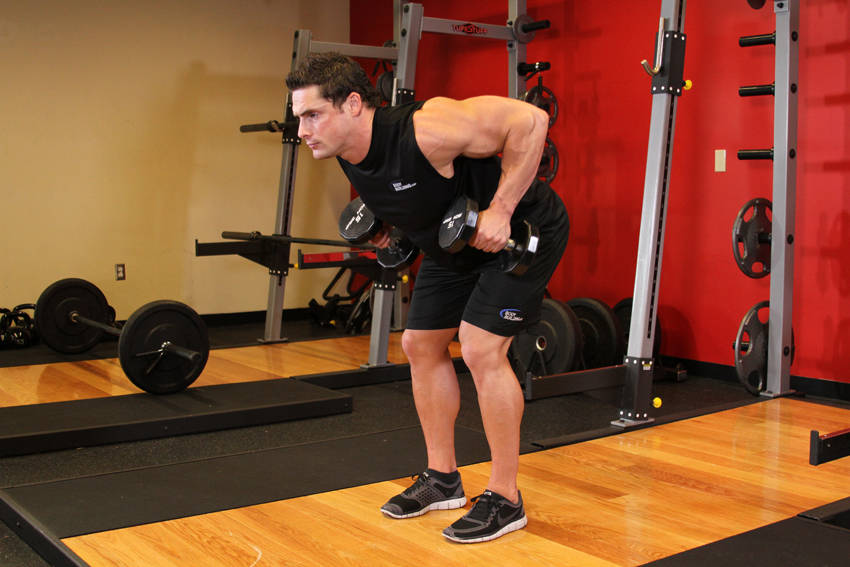 Ending position of Bent Over Two-Dumbbell Row