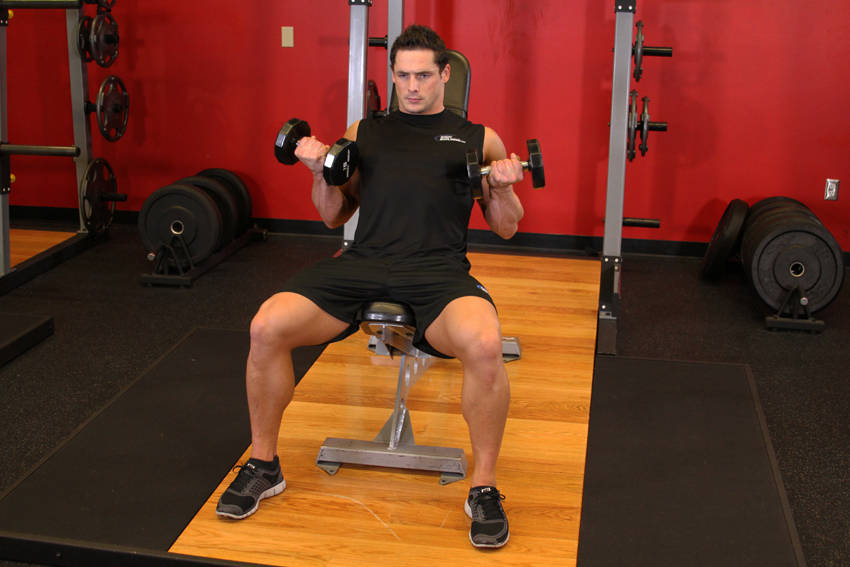 Ending position of Flexor Incline Dumbbell Curls