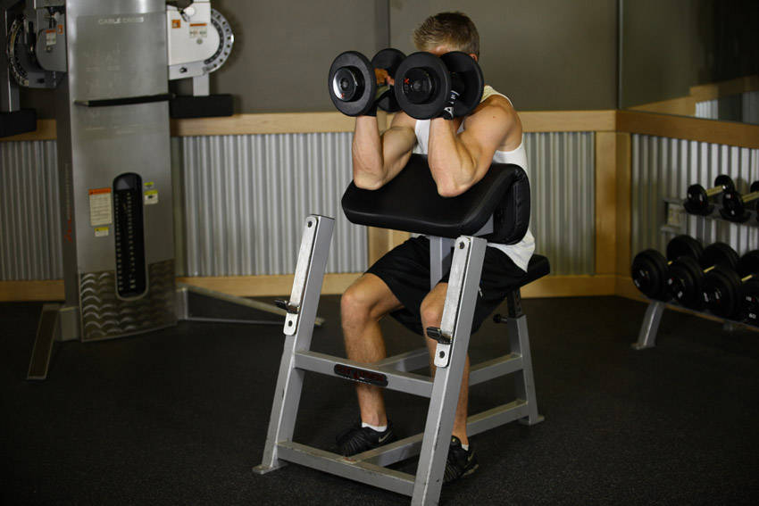 Ending position of Preacher Hammer Dumbbell Curl