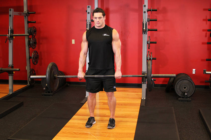 Ending position of Romanian Deadlift