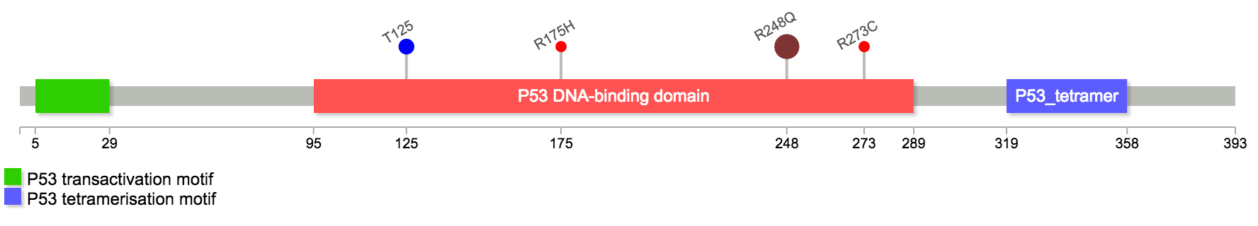 TP53 Lollipop diagram with 5 customized mutations