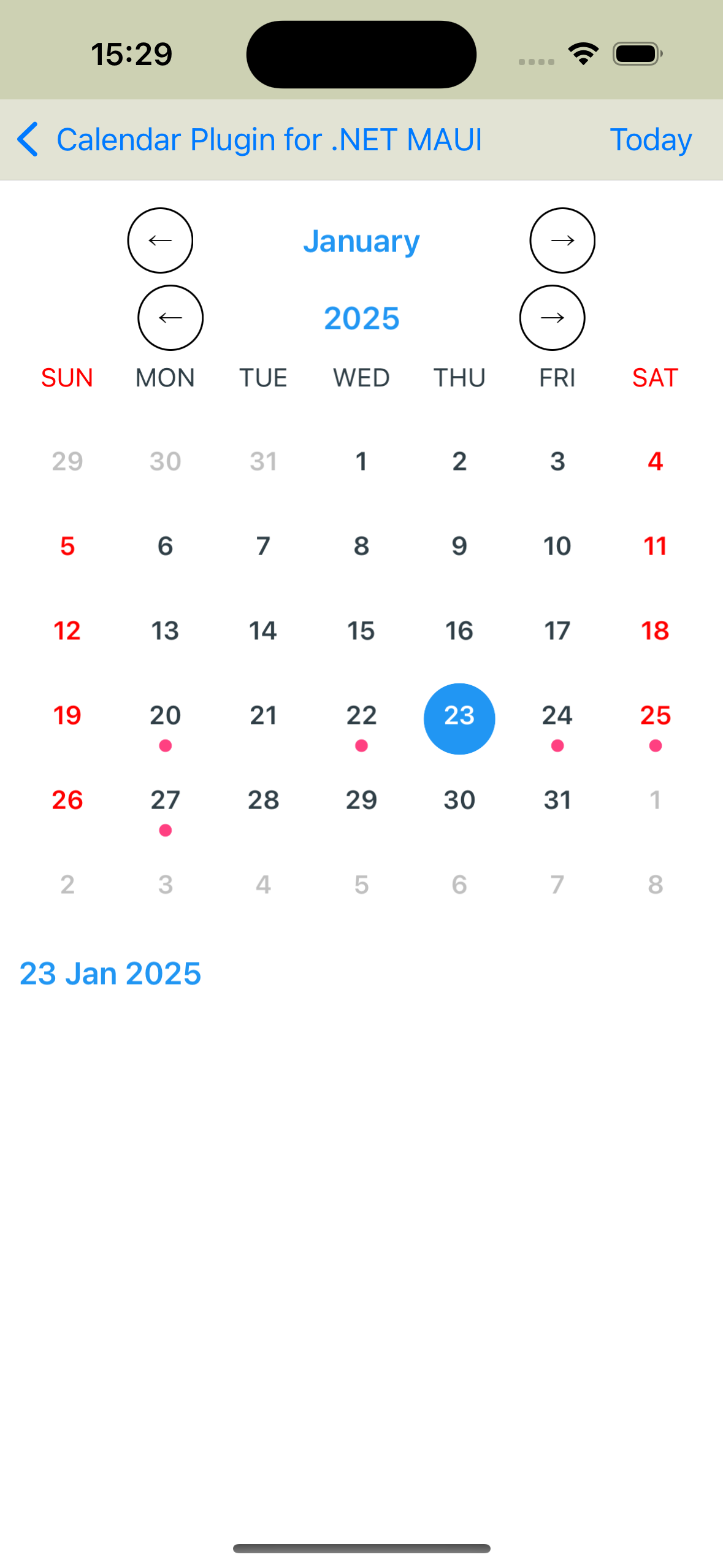 Weekend calendar IOS Screenshot