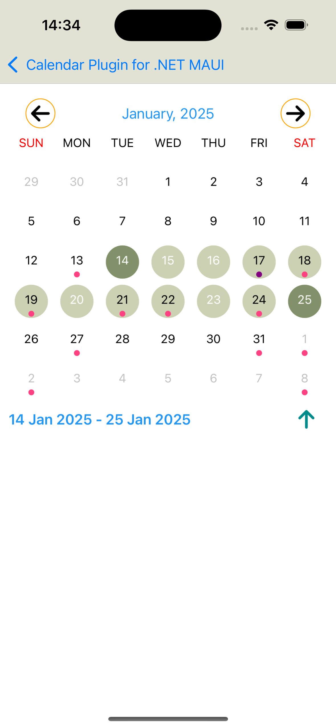 iPhone Calendar Screenshot