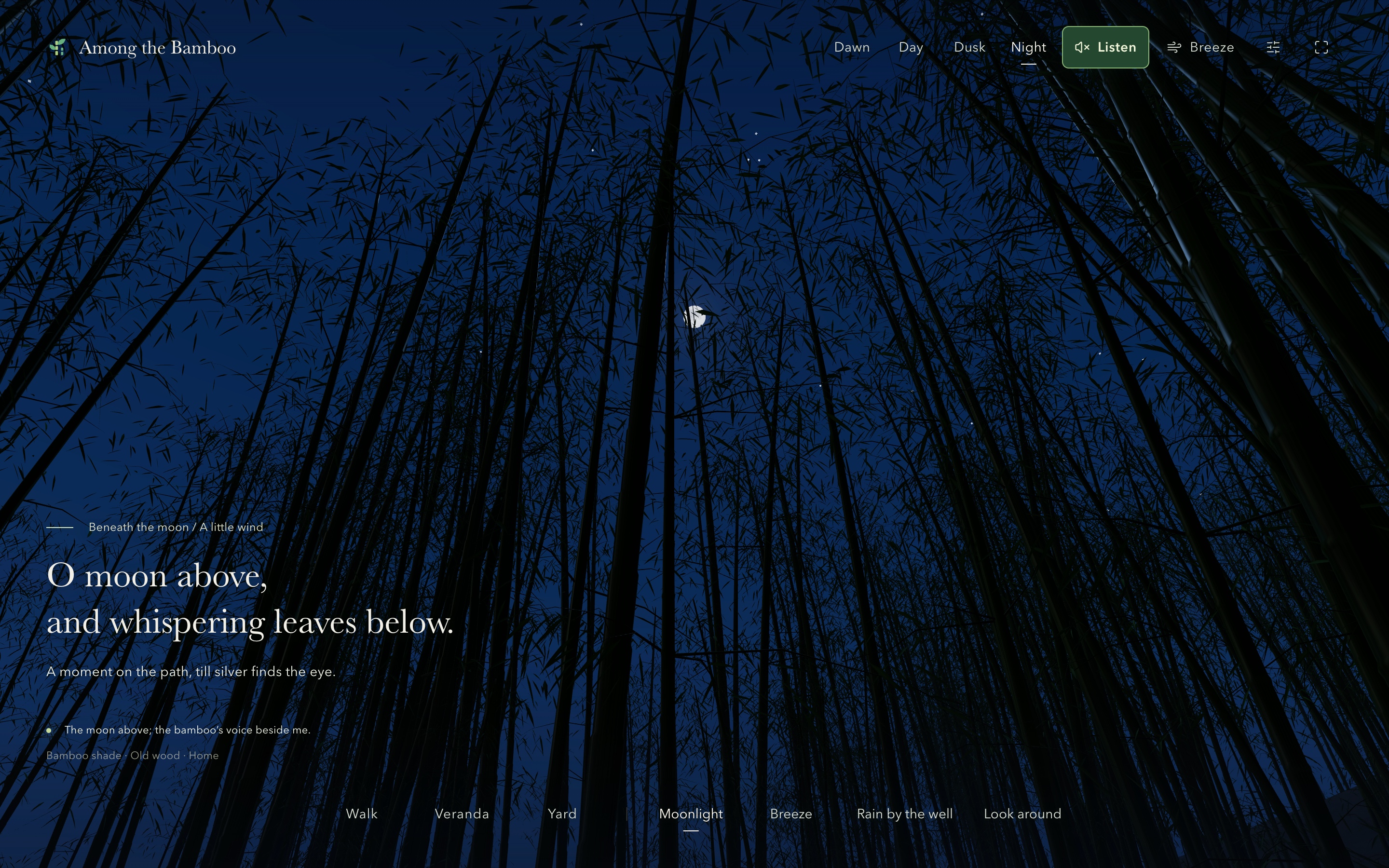 English interface: the moon above a canopy of bamboo