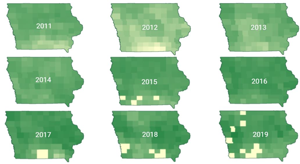 corn yield in  Iowa from 2011 to 2019