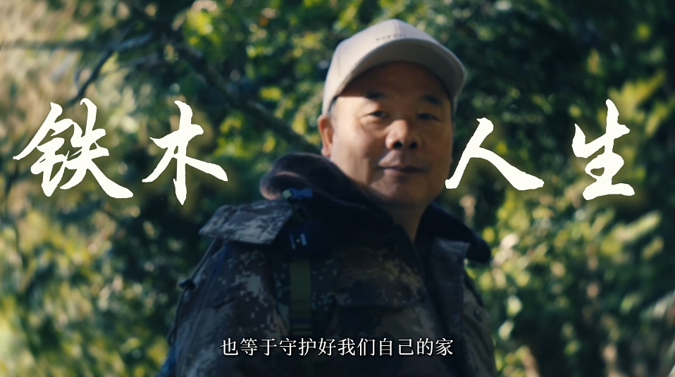铁木人生