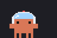 /pet hat …