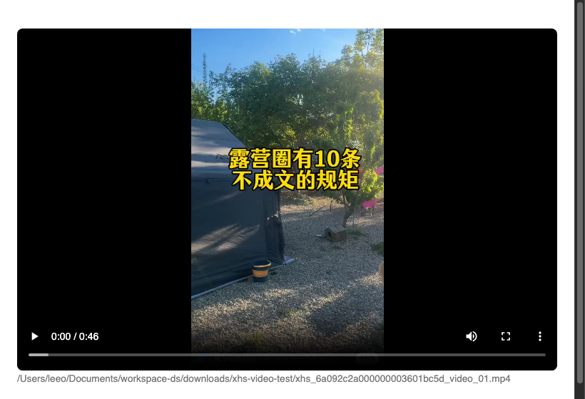 dsh-image-preview 对话内联视频